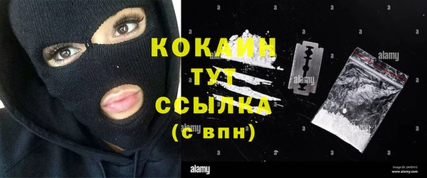 ГАЛЛЮЦИНОГЕННЫЕ ГРИБЫ Магас