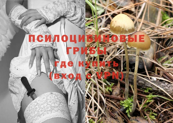 mdpv Майский