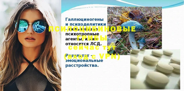 ГАЛЛЮЦИНОГЕННЫЕ ГРИБЫ Магас