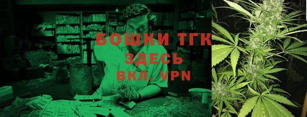 ГАЛЛЮЦИНОГЕННЫЕ ГРИБЫ Магас