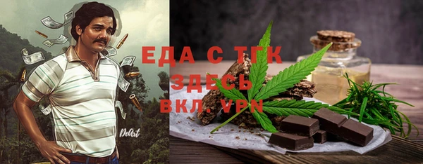 хмурый Верея