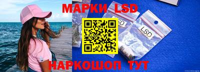 PSILOCYBIN Ирбит