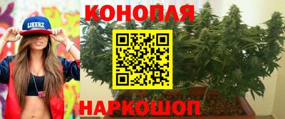 PSILOCYBIN Ирбит