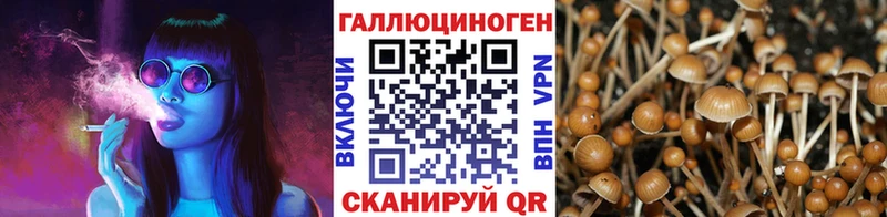 цена наркотик  Нижнеудинск  Псилоцибиновые грибы MAGIC MUSHROOMS 