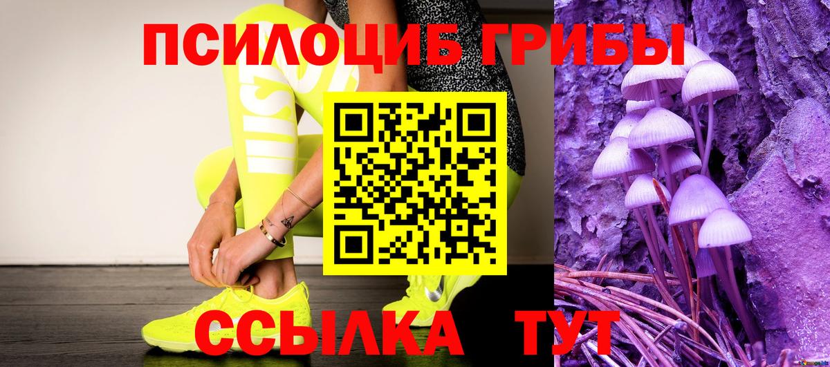 Псилоцибиновые грибы Cubensis Нижнеудинск