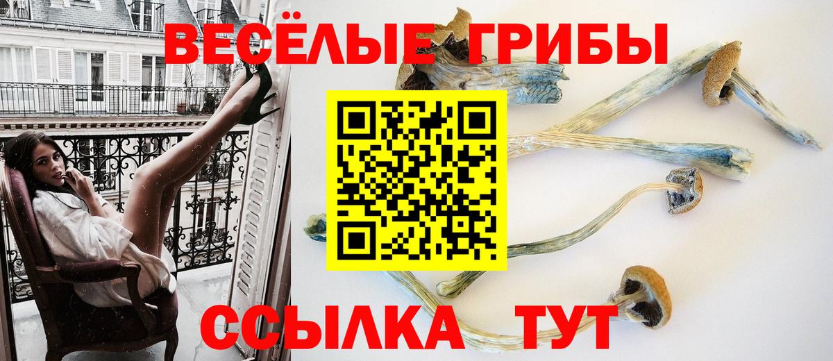 Псилоцибиновые грибы Psilocybine cubensis  Нижнеудинск 