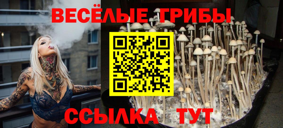 Псилоцибиновые грибы GOLDEN TEACHER  Вход с VPN  Нижнеудинск  Псилоцибиновые грибы GOLDEN TEACHER 