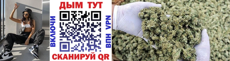Конопля ГИДРОПОН  где купить наркотик  Нижнеудинск 